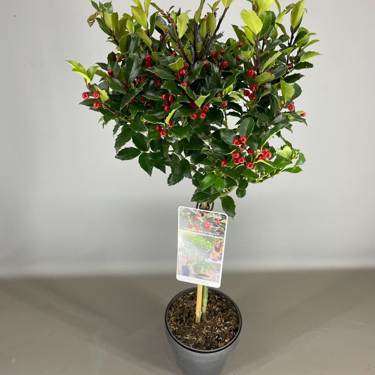 Main image on product details page