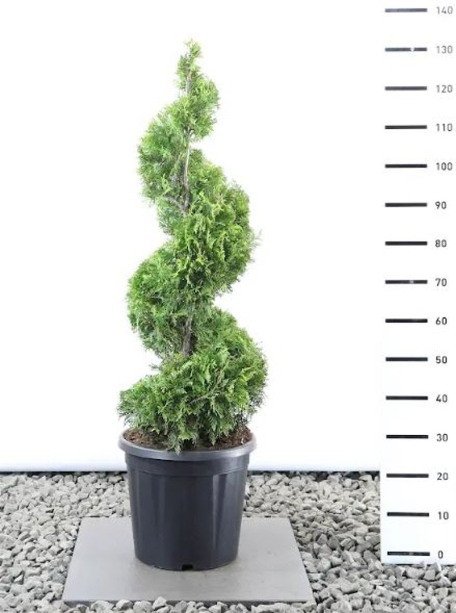 Main image on product details page