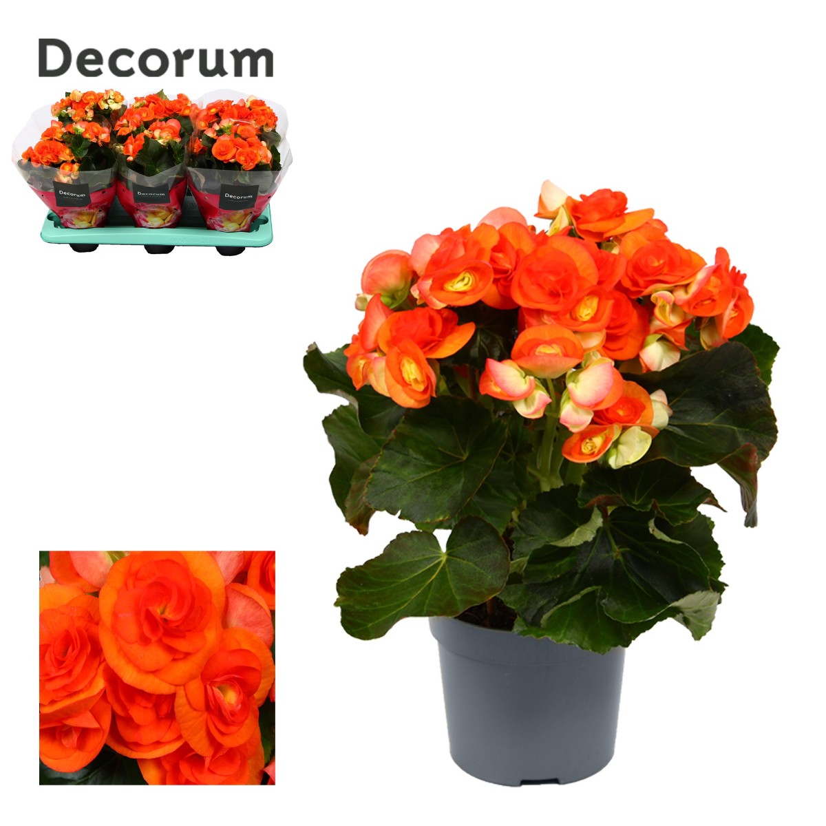 Main image on product details page