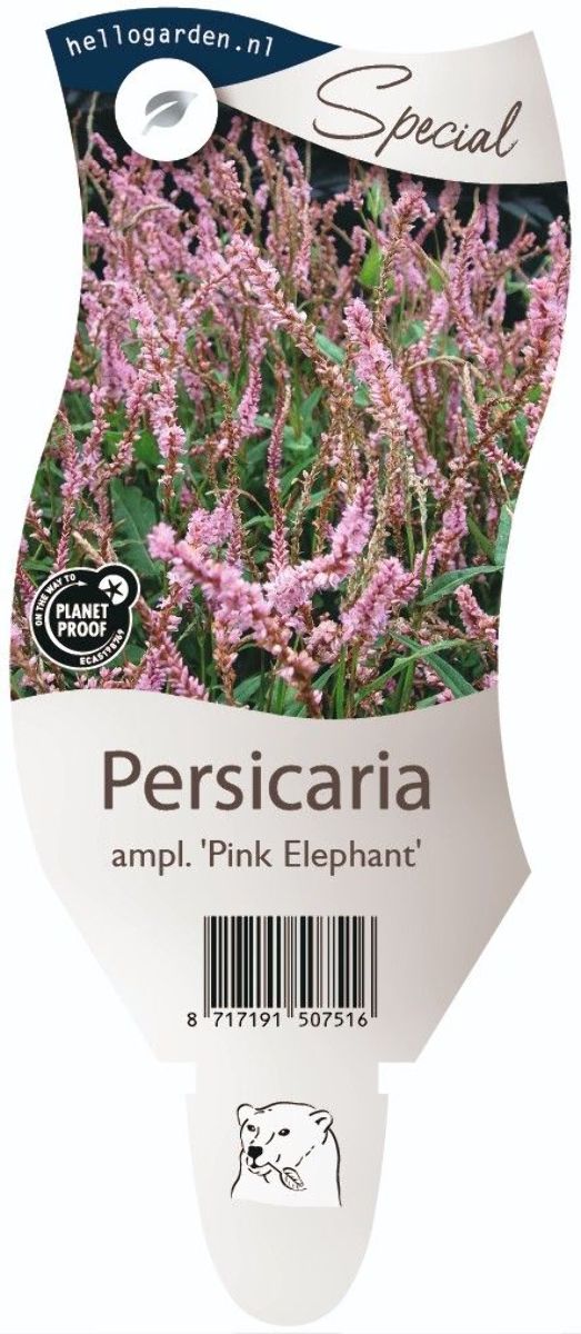 Main image on product details page