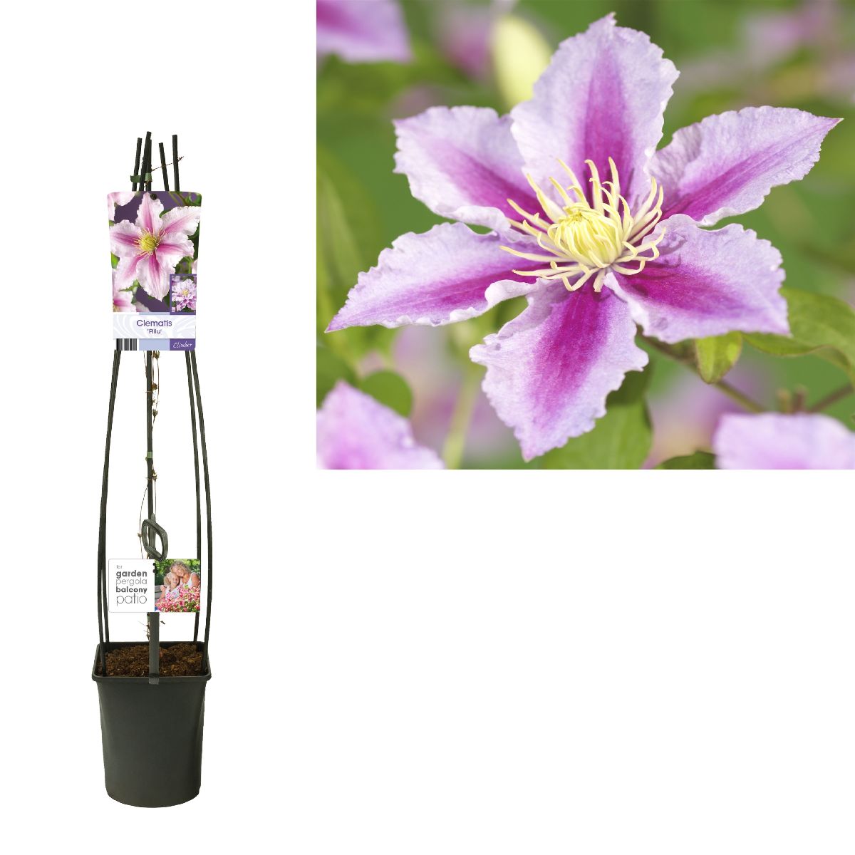 Main image on product details page