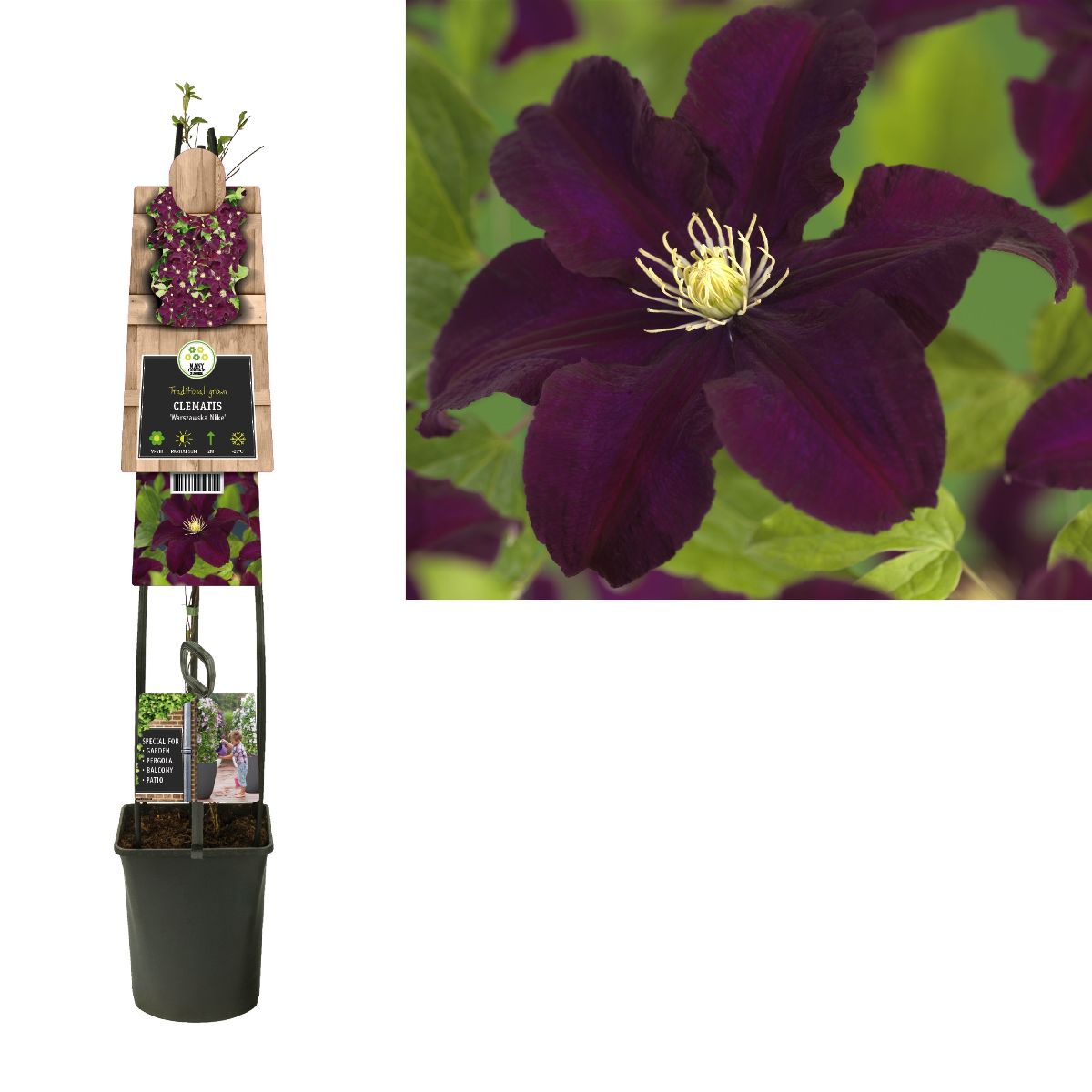 Main image on product details page