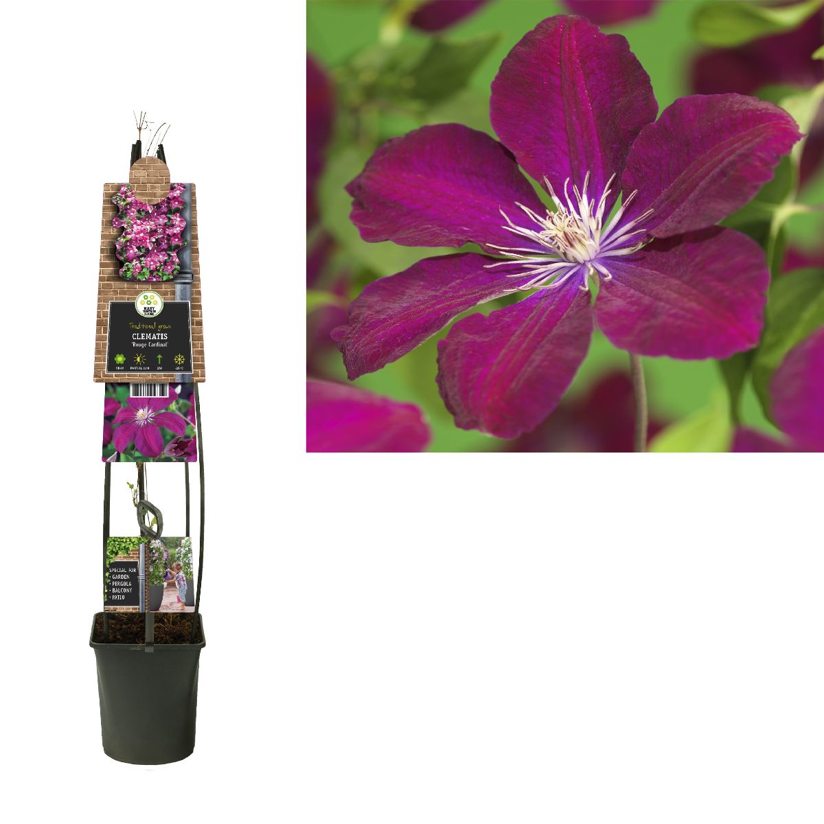 Main image on product details page