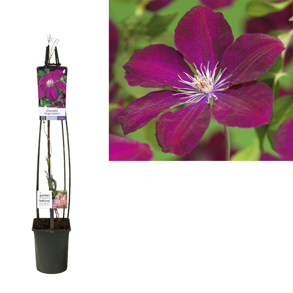 Main image on product details page