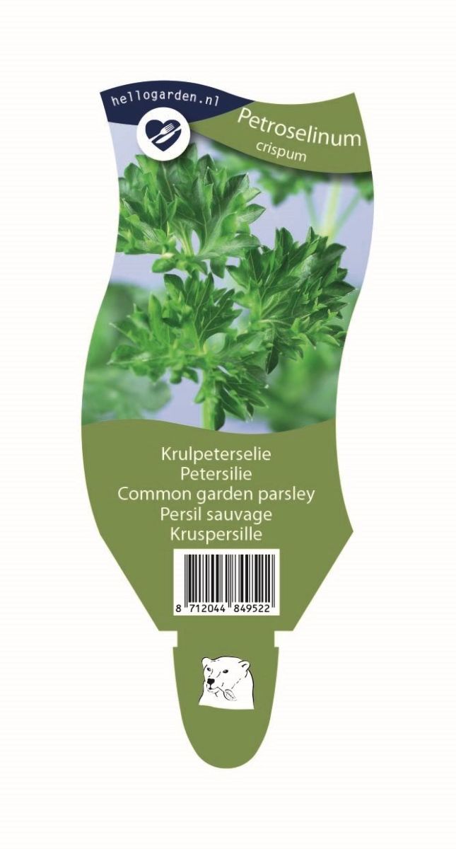 Main image on product details page