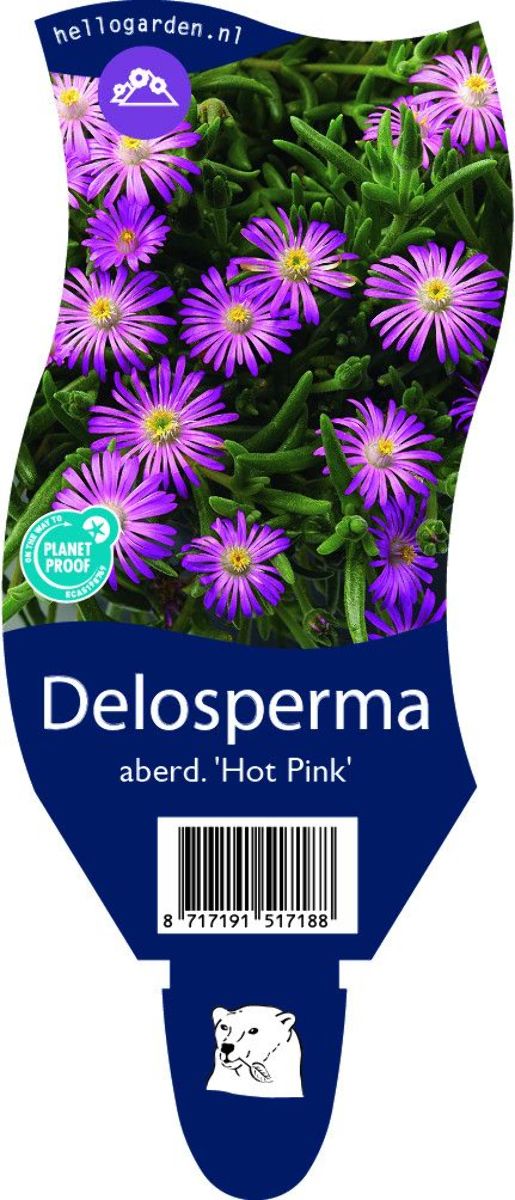 Main image on product details page