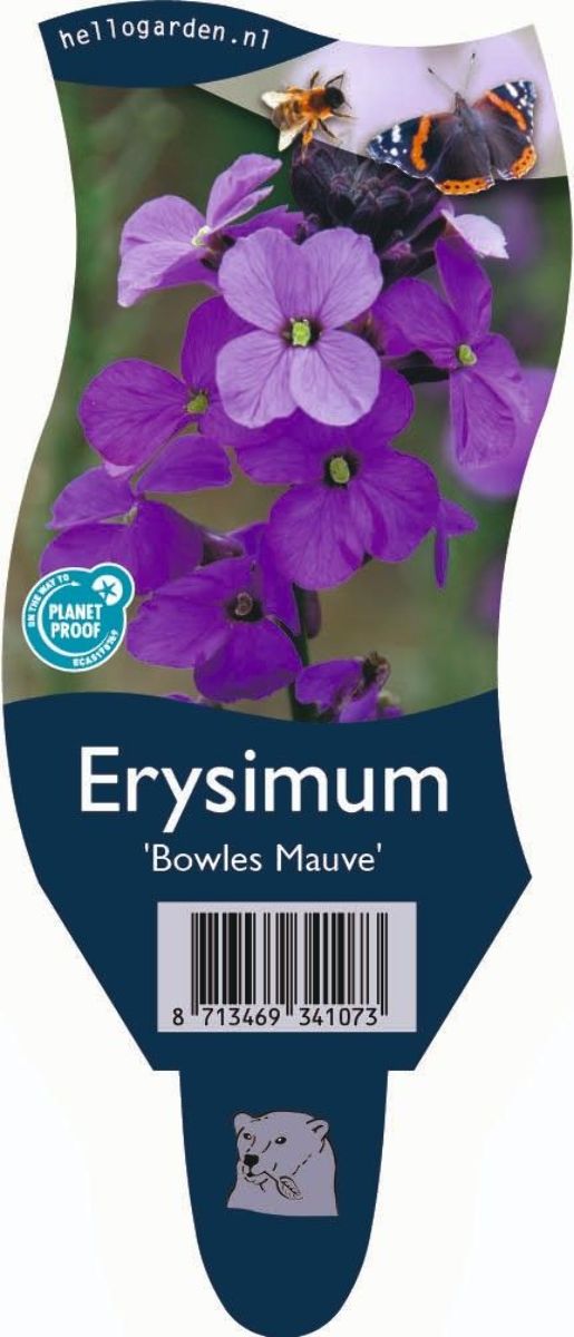 Main image on product details page