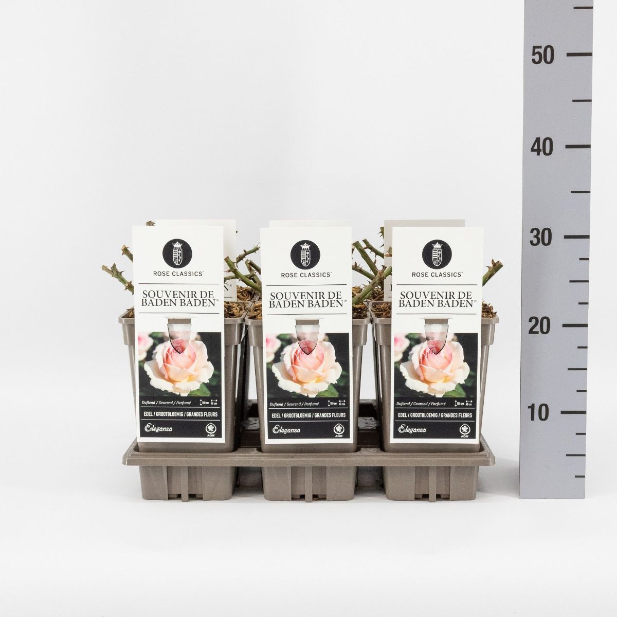 Main image on product details page