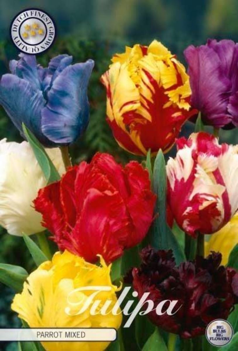 Main image on product details page