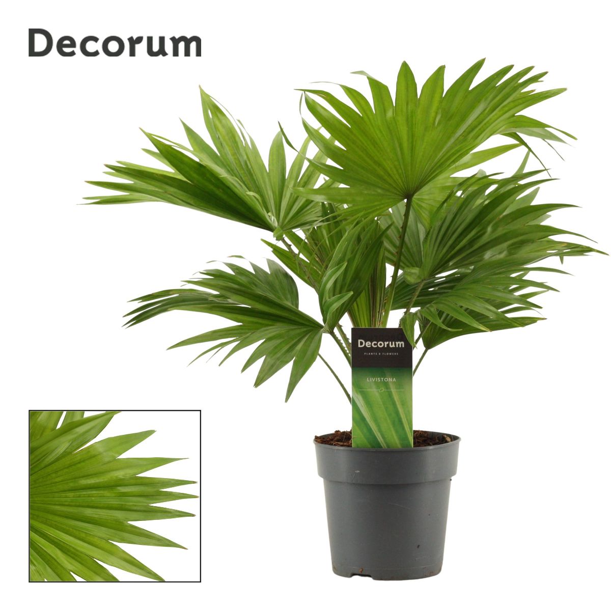 Main image on product details page