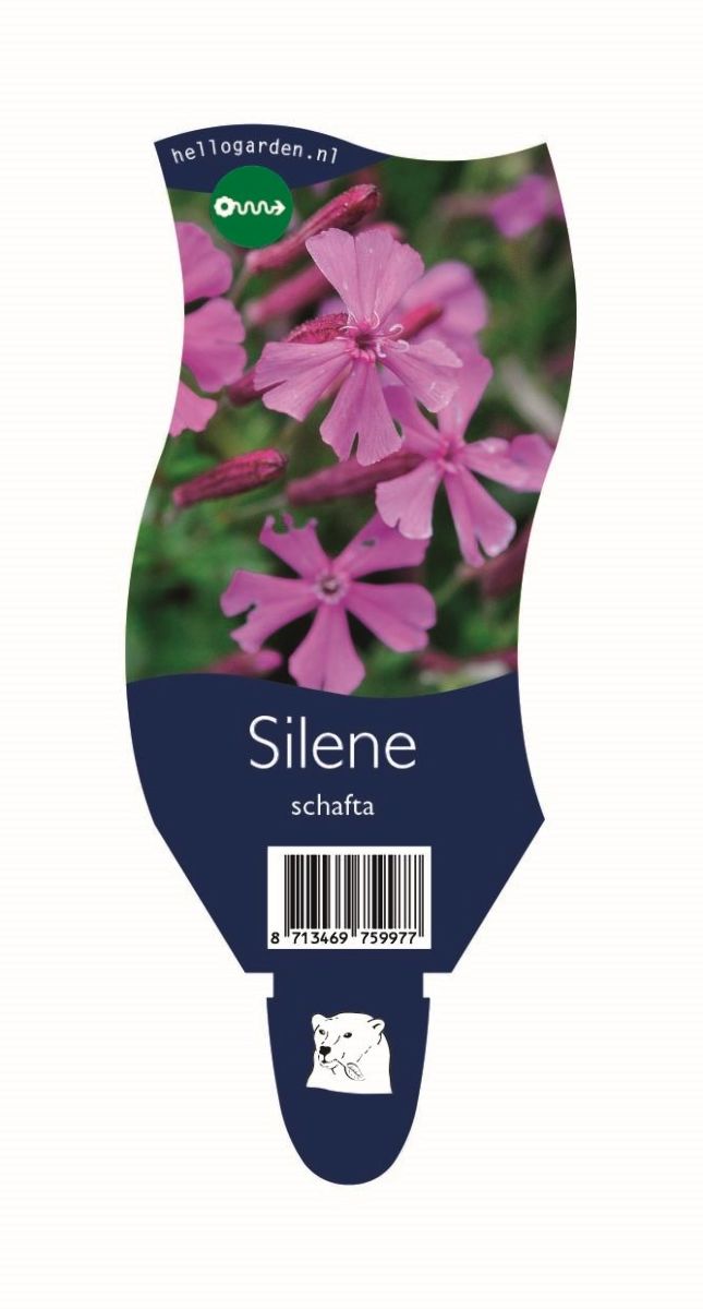 Main image on product details page