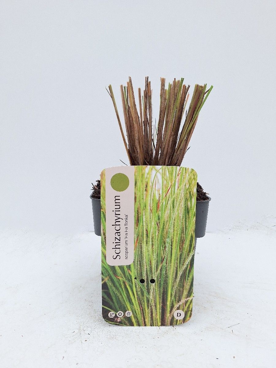 Main image on product details page