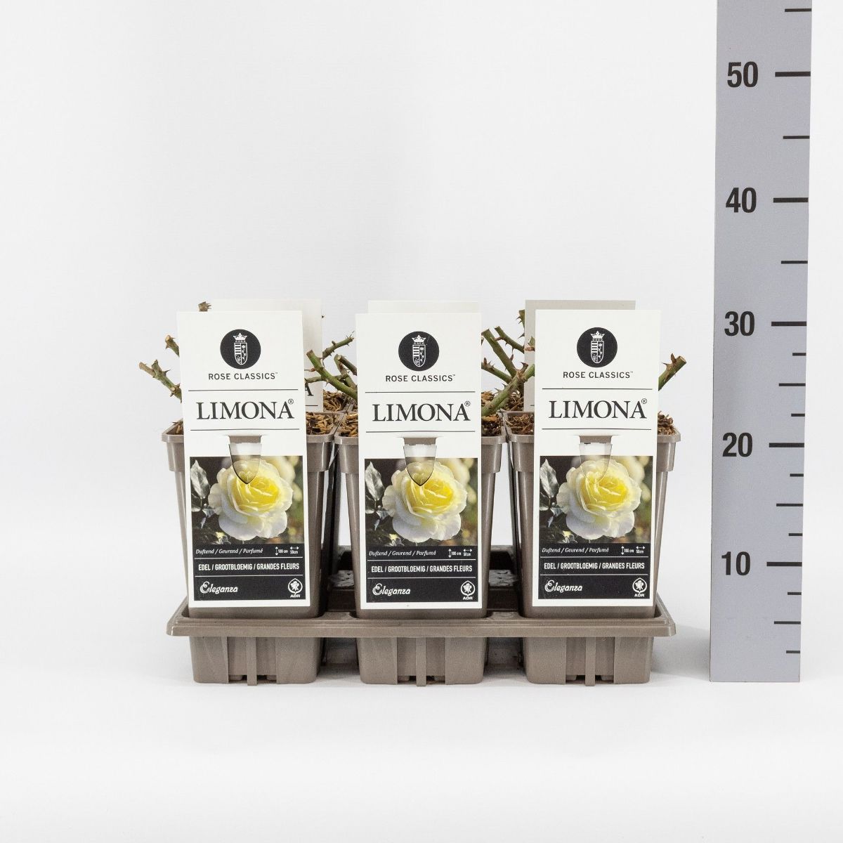 Main image on product details page