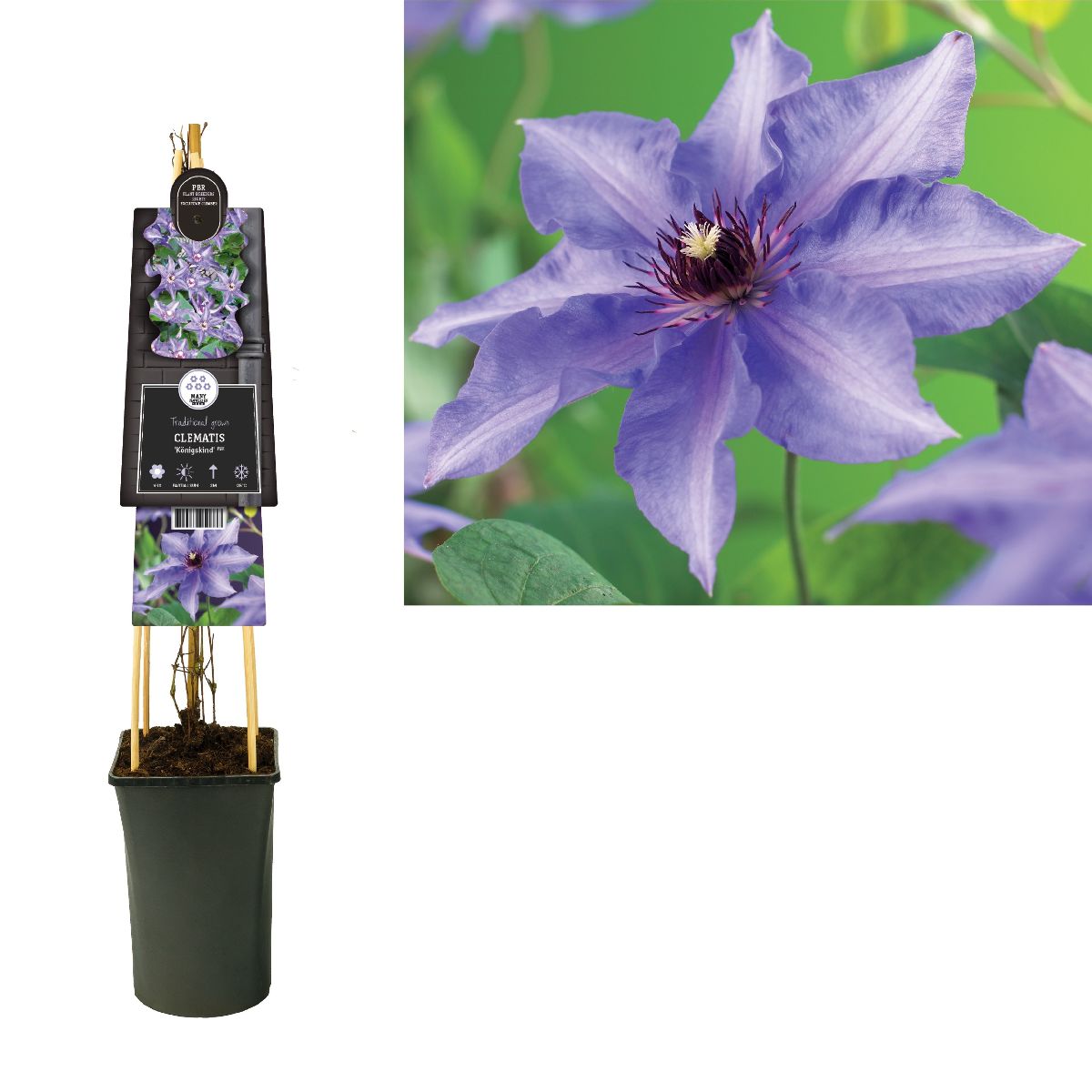 Main image on product details page