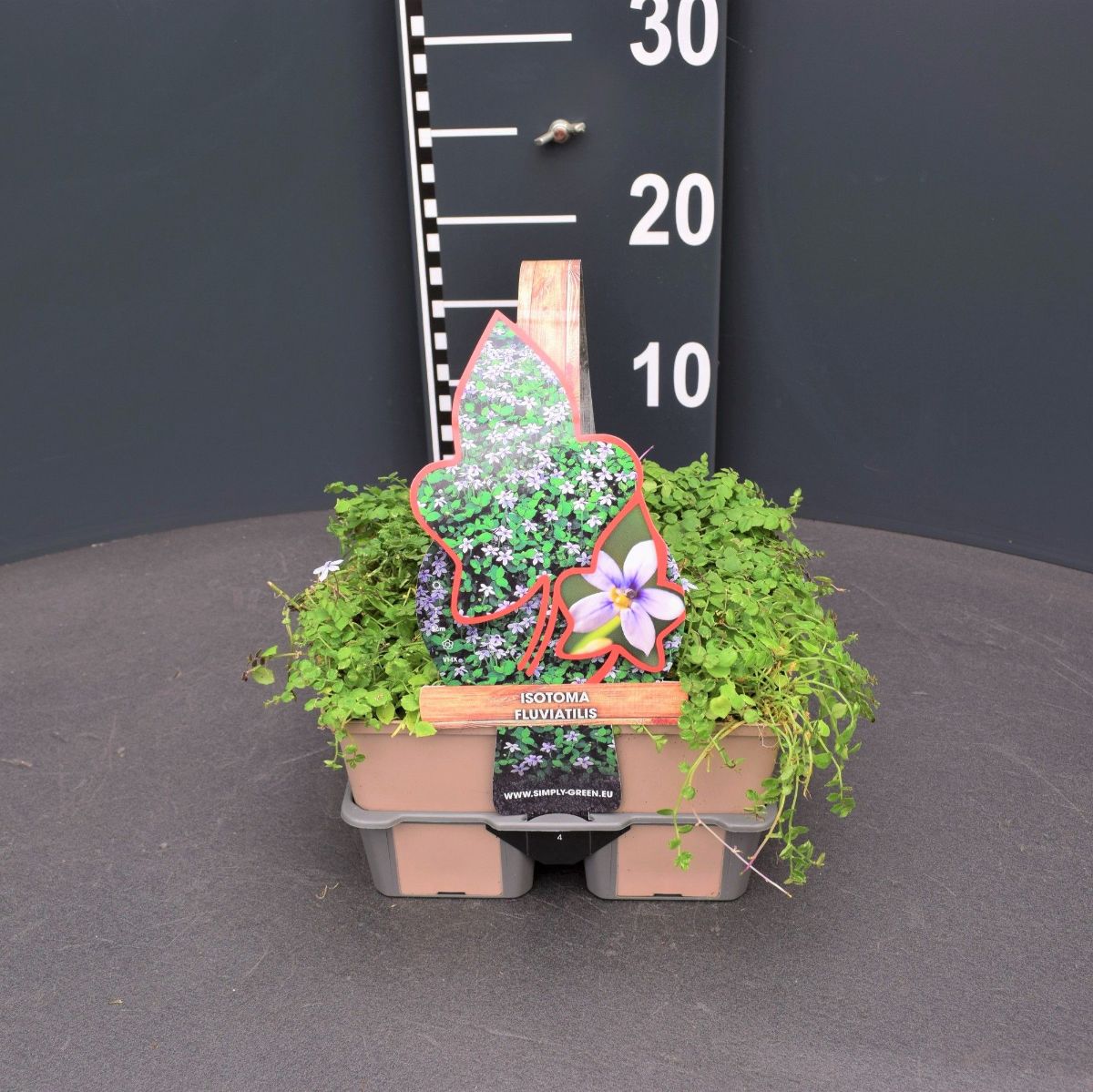 Main image on product details page