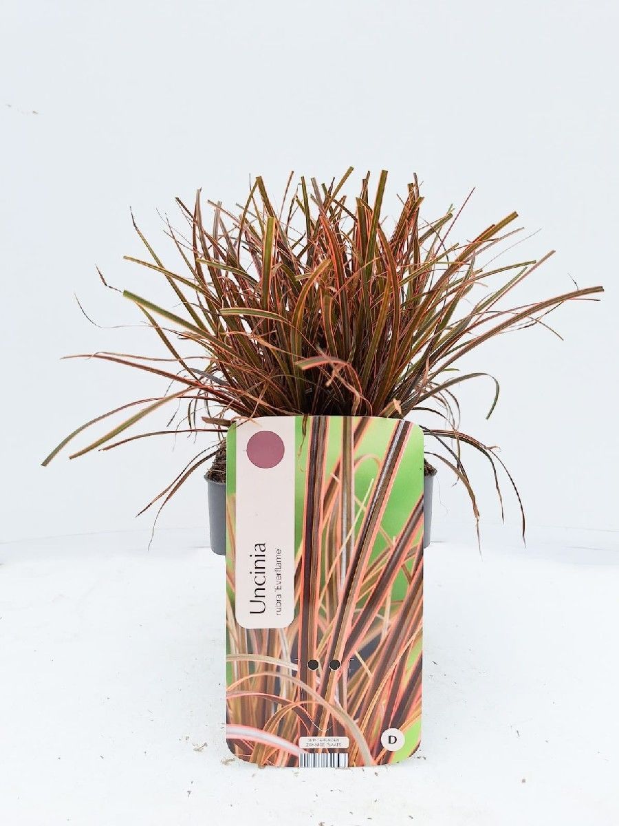 Main image on product details page