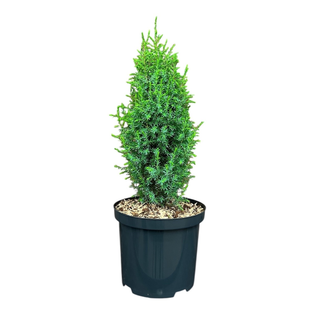 Main image on product details page