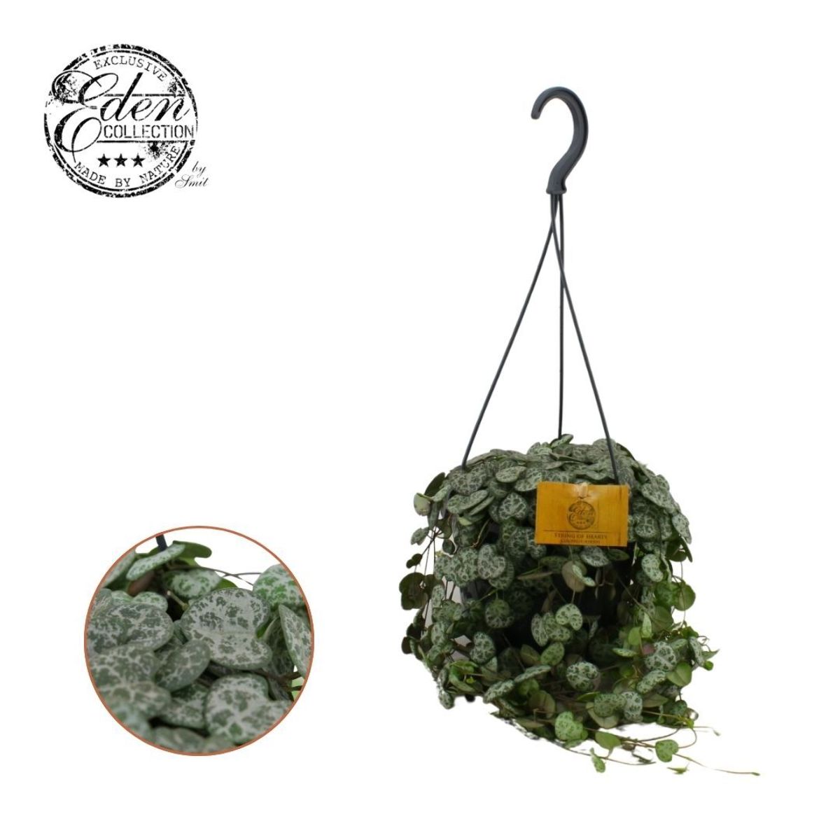 Main image on product details page